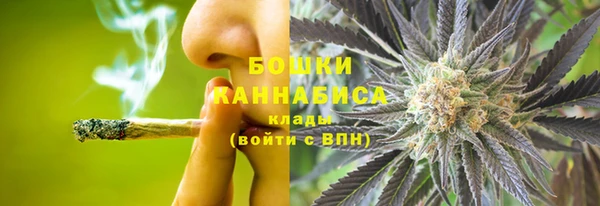 хмурый Белокуриха