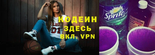 хмурый Белокуриха