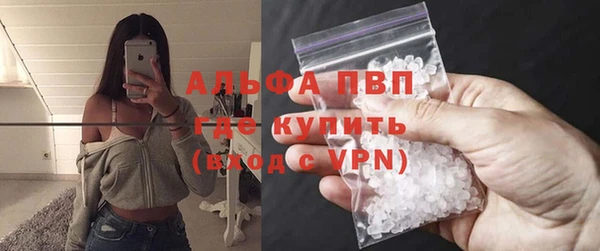 хмурый Белокуриха