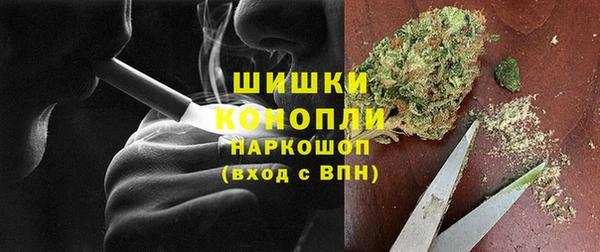 хмурый Белокуриха